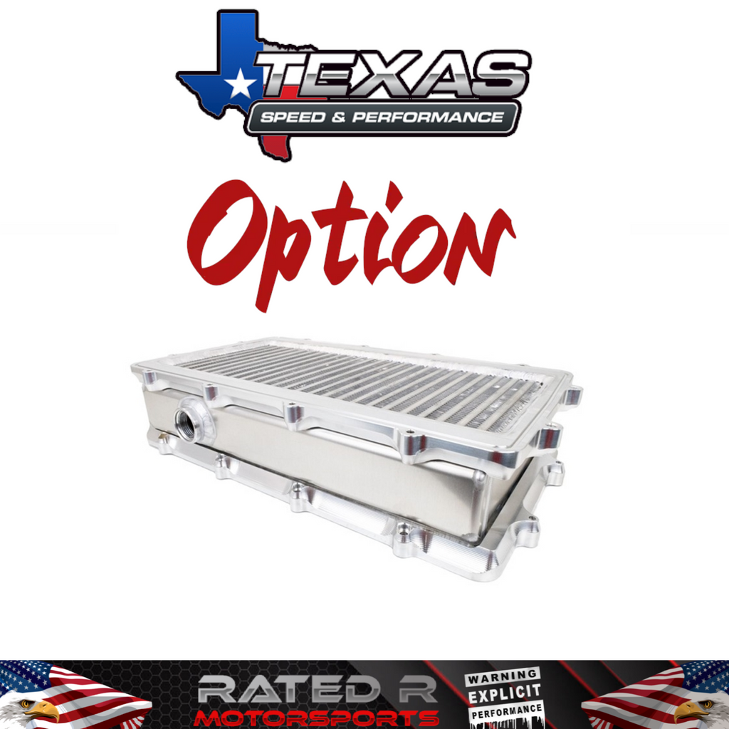 Colector de admisión e inyección Texas Speed ​​Titan LR-T Long Runner de 102 mm con puerto LTx