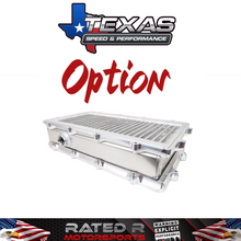 Cargar imagen en el visor de la galería, Colector de admisión e inyección Texas Speed ​​Titan LR-T Long Runner de 102 mm con puerto LTx