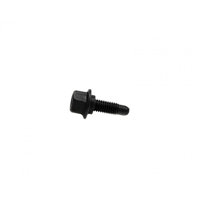 Chevrolet Performance GM LS Lifter Tray Bolts (4)