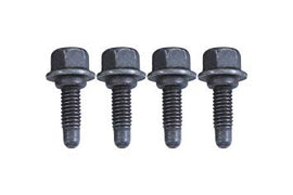 Chevrolet Performance GM LS Lifter Tray Bolts (4)