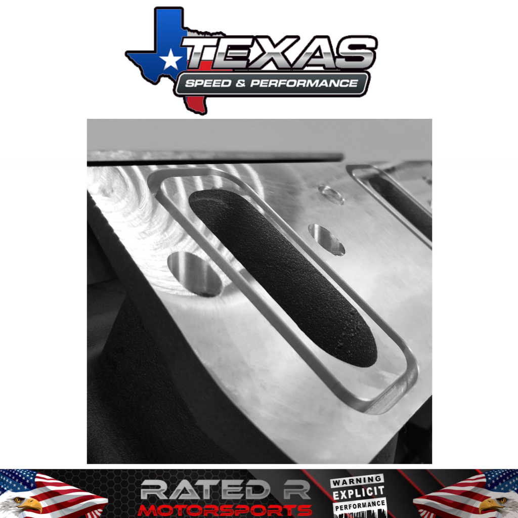 Texas Speed Titan SR-1 Short Runner 102mm LS1 LS2 Cathedral Port Intake Manifold