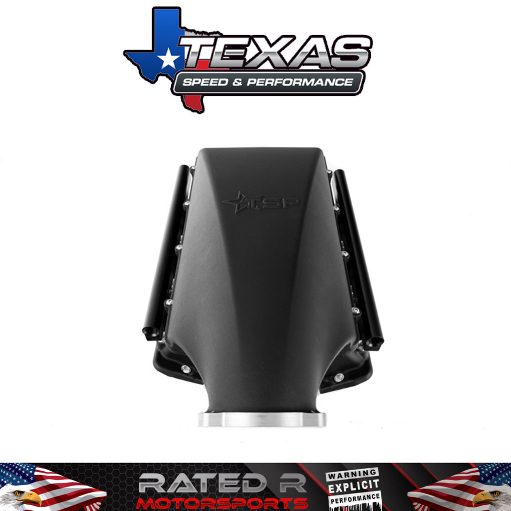 Colector de admisión con puerto Cathedral LS1 LS2 de 102 mm Texas Speed ​​Titan SR-1 Short Runner